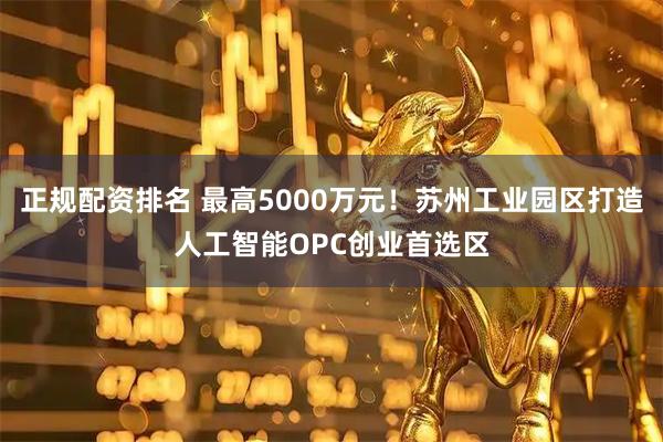正规配资排名 最高5000万元！苏州工业园区打造人工智能OPC创业首选区