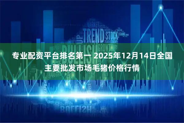 专业配资平台排名第一 2025年12月14日全国主要批发市场毛猪价格行情
