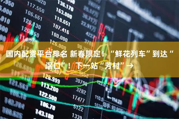 国内配资平台排名 新春限定！“鲜花列车”到达“滘口”！下一站“芳村”→