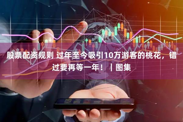 股票配资规则 过年至今吸引10万游客的桃花，错过要再等一年！｜图集