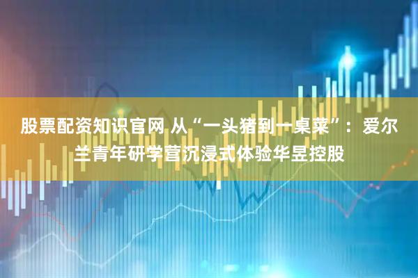 股票配资知识官网 从“一头猪到一桌菜”：爱尔兰青年研学营沉浸式体验华昱控股